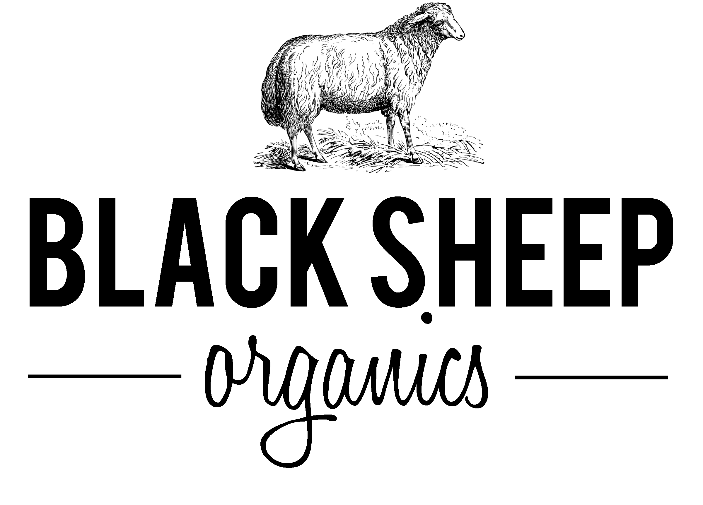 Exhibitor Logo_Canada_Black Sheep